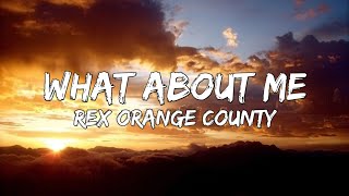 Rex Orange County  What About Me Lyrics  Television  So Far So Good [upl. by Stovall]