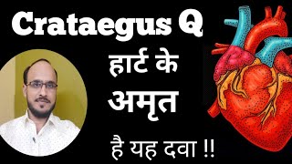 Crataegus Q Homeopathy Benefits and Uses in Hindi  Heart Tonic  Chronic Heart Disease Homeopathy [upl. by Ecyal]