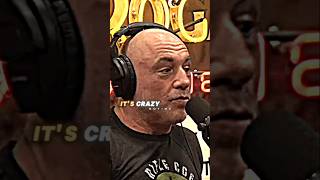 Joe Rogan Reacts To Street Takeovers [upl. by Moitoso736]