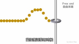 DSE Physics Reflection and Phase Change 反射與相變 Out of Syllabus [upl. by Ydnerb]