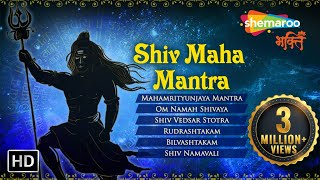 Top 10 Shiv Powerful Mantra  Mahamrityunjaya Mantra Om Namah Shivaya  Shiv Maha Mantra [upl. by Delanos707]