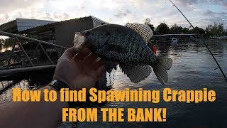 CrappieFishing FROM THE BANK How to find them [upl. by Nilla]