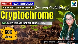 CRYPTOCHROME  CSIRNET  GATE  BARC  Plant Biology  Sensory Photobiology [upl. by Nileve]