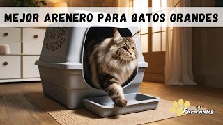 CÓMO ELEGIR EL MEJOR ARENERO PARA GATOS GRANDES 😼 TIPOS DE ARENEROS [upl. by Kassab552]