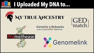 I Uploaded My DNA to Genomelink My True Ancestry GEDmatch Promethease and Genetic Lifehacks [upl. by Ojeillib]