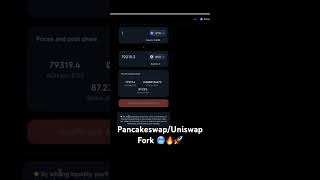 CREATE PANCAKESWAP UNISWAP V2 V3 WEBSITE dex swap [upl. by Hnim]