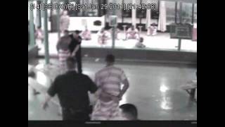 Lorain County Jail Fight [upl. by Griggs116]