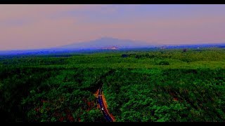 Video drone hutan karet keling kelet jepara [upl. by Nelly]