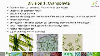 Classification of Algae Algae classification by G M SmithGeneral characters of Algae 7 divisions [upl. by Wenonah]