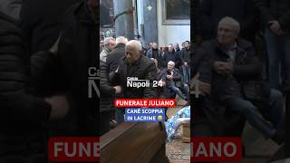 Funerale Antonio Juliano CANÉ scoppia in lacrime 😭🥺 Juliano [upl. by Kinch]