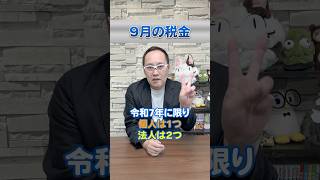 【9月の税金】令和6年2024年版 何があるか、ここで整理しましょう！ 所得税 予定納税 決算 [upl. by Cloris450]