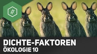 Dichteabhängige und dichteunabhängige Faktoren  Ökologie 10 [upl. by Tade]