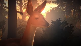 Life is Strange Game Theory Spirit Animals  Who is the Owl Doe Butterfly [upl. by Jamnis635]