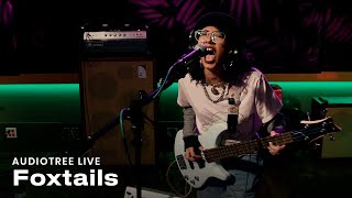 Foxtails  paper tiger  Audiotree Live [upl. by Dole]