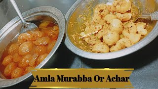 Amla Murabba amp Achar  Amla Murabba Or Achar Banane ki Vidhi [upl. by Suhpesoj357]