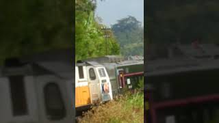 Hunting kereta api ditempat viral feedshorts railfans train sepur15 [upl. by Hadria]