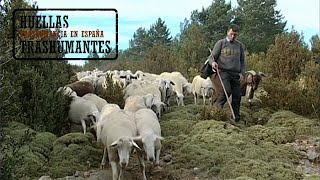 LA CABAÑERA DEL PIRINEO ARAGONÉS trashumancia THE LIVESTOCK TRAIL OF THE ARAGONESE PYRENEES [upl. by Eilyw]