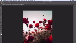 14 Photoshop for Beginners  How Layers Work [upl. by Ajed]