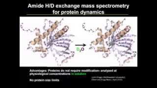 Development of Small Molecule Inhibitors using Amide HD Exchange MS and Ion Mobility MS [upl. by Nart]