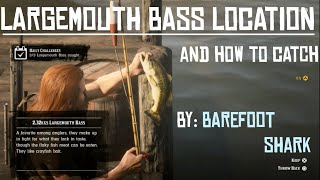 Largemouth Bass Location and How to Catch Daily Challenge RDR2 Online [upl. by Euqinorev655]