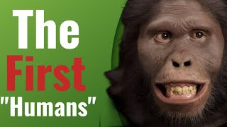 Homo Habilis The First quotHUMANSquot [upl. by Rosenbaum]