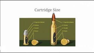 Bullet Comparison  Calibers and Bullet Measurements Explained [upl. by Nagad]