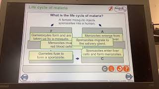 KS4GCSEBIOLOGYReproduction Lifecycle of malaria [upl. by Carny]