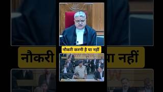 नौकरी करनी है या नहीं Mp high court shorts [upl. by Ilan]