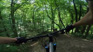 Las Wolski  wszystkie prawie  ścianki Świni  HardTail  Enduro MTB [upl. by Nylcoj131]