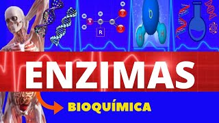 ENZIMAS  BIOQUÍMICA ENSINO SUPERIOR  TUDO SOBRE ENZIMAS  ESTRUTURA E FUNÇÃO DAS ENZIMAS [upl. by Leitnahs130]