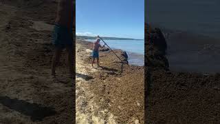 beach negril negriljamaica Beach 🏖️ clean up [upl. by Marni]