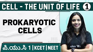 CELL  THE UNIT OF LIFE  01  Prokaryotic Cells  Botany  PUC 1  KCET  NEET [upl. by Kessel]