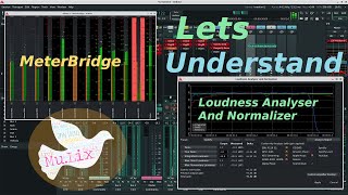 Ardour  69  Tutorial Free Daw  Meters And Loudness Analyzer [upl. by Einnod990]