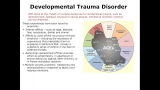 The Model Of Developmental Immaturity Understanding Developmental Trauma and Recovery [upl. by Careaga]