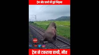 ट्रेन ओर हाथी के बीच हुई ज़ोरदार भिड़न्त trainelephantaccidenr latestnews viralshorts factum [upl. by Hiasi]