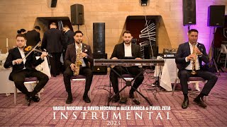 VASILE MOCANU amp DAVID MOCANU amp ALEX BAHICA amp PAVEL ZETA 2023  INSTRUMENTAL COLAJ [upl. by Stefanie]