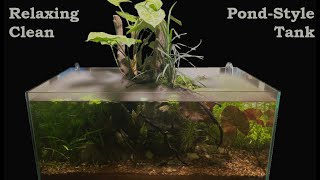 Refreshing the Pond Tank Ambient Noise [upl. by Clova]