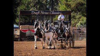 Draft Horse Classic 2024 [upl. by Orji]