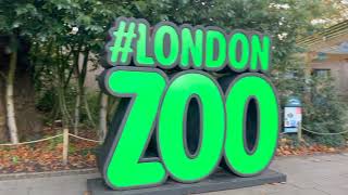 Exploring London Zoo with ‘Nice to Know Animals’ 🦁 [upl. by Dweck525]