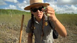 B1 Investigating Periphyton [upl. by Eicram]