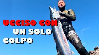 UCCIDO un WAHOO con 1 SOLO COLPO [upl. by Aufmann]