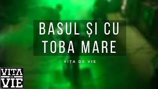 Vita de Vie  Basul si cu Toba Mare  Videoclip OFICIAL [upl. by Biernat]