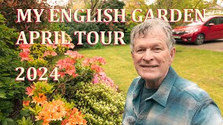 April Front Garden Tour  My English Garden  2024 [upl. by Conlen896]