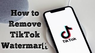 How to Remove TikTok Watermark [upl. by Atteynad649]