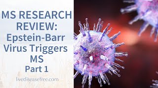 Study Suggests EpsteinBarr Virus Triggers the Onset of Multiple Sclerosis  Part 1  Pam Bartha [upl. by Arabeila]