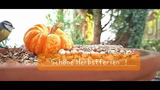 Schöne Herbstferien [upl. by Nosyrb715]