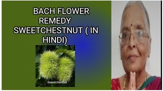 Bach Flower Remedy Sweet chestnut  in hindi [upl. by Acinorej]