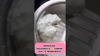 Mozzarella cheese 🧀 making just 2 ingredients cheese manamwithsathya ytshort [upl. by Nosidam577]