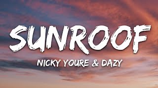 Nicky Youre dazy  Sunroof Lyrics [upl. by Lombardi577]