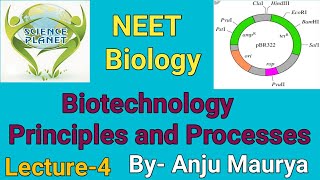 Biotechnology Principles and Processes Lecture4 By Anju Maurya [upl. by Bowlds]